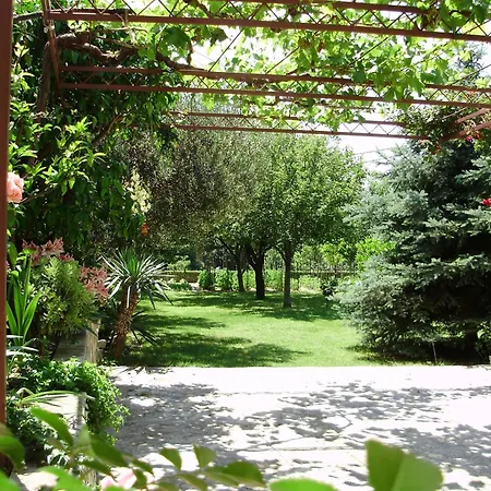 Apartment Arthur Podstrana