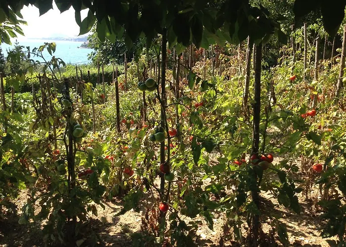 Διαμέρισμα Arthur